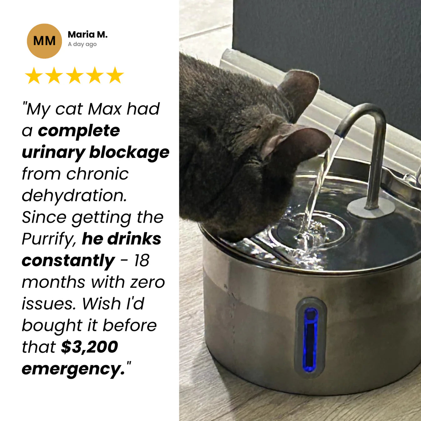 Luvina Stainless Steel Water Fountain