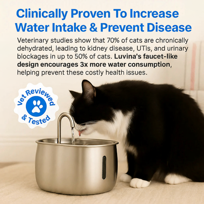 Luvina Stainless Steel Water Fountain